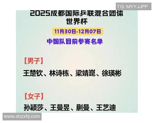 成都乒乓球队在转型过程中面临的挑战与机遇分析