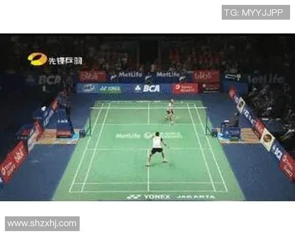 成都羽毛球队进攻策略解析与战术创新探讨